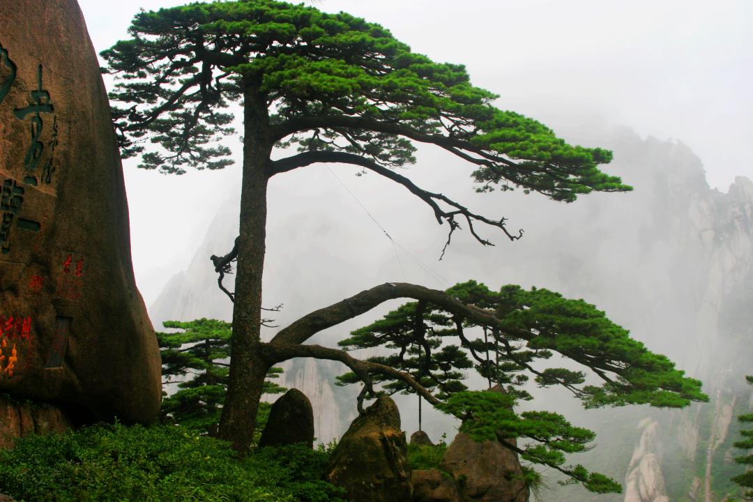 健康好水的首选泉妙妙天然山泉水”